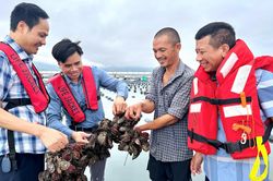 Quảng Ninh nâng diện tích quy hoạch nuôi biển, đẩy nhanh giao khu vực biển