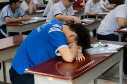 TP.HCM yêu cầu trường học chủ động phát hiện nguy cơ bắt nạt học đường