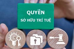 Thực thi quyền sở hữu trí tuệ: Tăng xử lý hình sự, siết vi phạm trên môi trường số