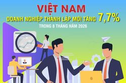 Việt Nam: Số doanh nghiệp thành lập mới tăng 7,7% trong 8 tháng năm 2026