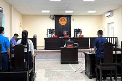 Viện kiểm sát khởi kiện doanh nghiệp chậm, trốn đóng bảo hiểm xã hội