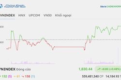 Chứng khoán hôm nay 8/9/2026: VN-Index hồi phục nhẹ