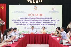 Tham vấn về dự thảo Báo cáo chuyên đề về những giải pháp đột phá nâng cao hiệu quả tổ chức thi hành pháp luật