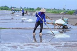 Nâng giá trị từ hạt muối truyền thống