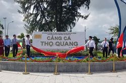 Đà Nẵng: Nghiên cứu chuyển đổi chức năng cảng cá Thọ Quang
