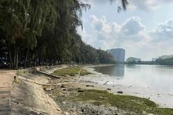 TPHCM phê duyệt dự án nạo vét, chỉnh trang rạch Bà Lớn
