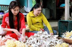 Vĩnh Long hướng tới các mục tiêu mang tính bứt phá trong hỗ trợ phụ nữ khởi nghiệp