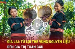 Gia Lai: Từ lợi thế vùng nguyên liệu đến giá trị toàn cầu
