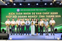Đổi mới hoạt động, nâng cao vai trò kết nối của Hiệp hội Doanh nghiệp tỉnh