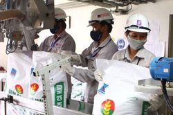 Ngành phân bón bứt phá xuất khẩu, giảm mạnh nhập khẩu