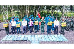 Gò Quao hoàn thành diễn tập chiến đấu phòng thủ năm 2026