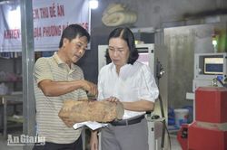 Nghiệm thu đề án khuyến công hỗ trợ 300 triệu đồng cho doanh nghiệp