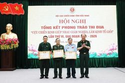 Tình đồng đội trên mặt trận kinh tế