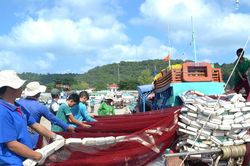 Sản lượng khai thác, nuôi trồng thủy sản tăng