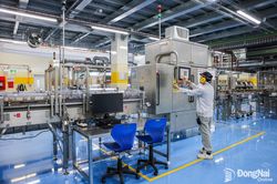 Ðồng Nai thúc đẩy phát triển kinh tế FDI