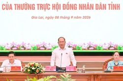 Gia Lai: Tháo gỡ điểm nghẽn, đẩy nhanh giải ngân vốn đầu tư công