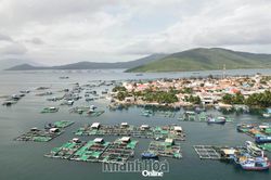 Xã Đại Lãnh: Tăng tốc để đạt mục tiêu tăng trưởng năm 2026