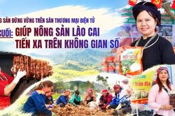 Bài cuối: Giúp nông sản Lào Cai tiến xa trên không gian số