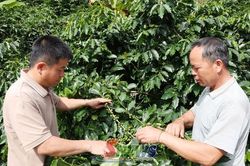 Bản tiêu biểu nông thôn mới ở Mường Chanh