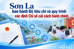 Sơn La ban hành Bộ tiêu chí và quy trình xác định Chỉ số cải cách hành chính
