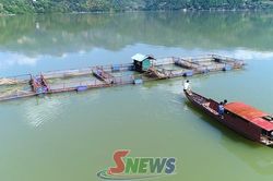 Sức sống mới ở Tân Phong