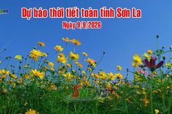 Dự báo thời tiết toàn tỉnh Sơn La ngày 9/9/2026