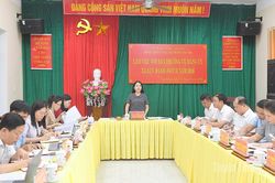 Đoàn kiểm tra, giám sát của Ban Thường vụ Tỉnh ủy làm việc với Ban Thường vụ Đảng ủy các xã
