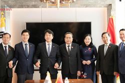 Chủ tịch Quốc hội Trần Thanh Mẫn tiếp Chủ tịch Nhóm Nghị sĩ hữu nghị Hàn Quốc - Việt Nam