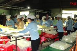 Doanh nghiệp vào mùa cao điểm: Dòng vốn không thể chậm một nhịp