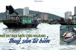 Mở dư địa mới cho ngành thuỷ sản từ nuôi biển