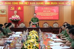 Cao điểm 180 ngày làm sạch dữ liệu lý lịch tư pháp và hiển thị trên VNeID