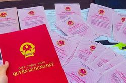 Cảnh báo tình trạng ủy quyền môi giới làm sổ đỏ