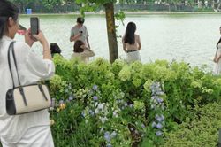 Những khoảng xanh quý giá giữa lòng đô thị