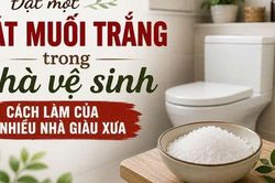 Đặt một bát muối trắng trong nhà vệ sinh: Cách làm của nhiều nhà giàu xưa có công dụng hữu ích