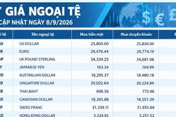 Tỷ giá ngoại tệ ngày 8/9: USD neo trên 26.000 đồng, EUR vượt 31.000 đồng