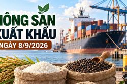 Nông sản xuất khẩu ngày 8/9: Tiêu giữ 6.050 USD/tấn, gạo Jasmine tới 538 USD/tấn