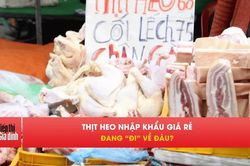 Hơn 112.000 tấn thịt heo giá rẻ tràn vào Việt Nam, bán ở đâu?