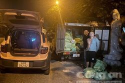 Bắt quả tang đối tượng đang nhận 289 bình 'khí cười' để mang đi bán