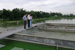 Hà Nội: Diện tích nuôi trồng thủy sản sau 8 tháng đạt 23.000ha