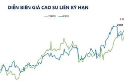 Dầu Brent và cao su tăng giá, MXV-Index lên 2.981 điểm