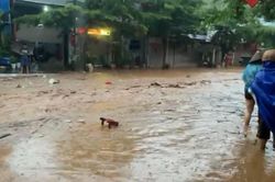Gió mùa Đông Bắc đầu mùa sắp ảnh hưởng miền Bắc, miền Trung có thể mưa lớn