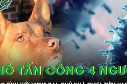 Chó tấn công, 4 người ở Đắk Lắk dương tính với virus dại