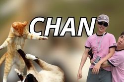 Từ điển Gen Z: 'Chan' là gì mà xuất hiện khắp cõi mạng thời gian qua?