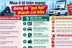 Mua ô tô trên mạng: Đừng để 'giá hời' thành cái bẫy