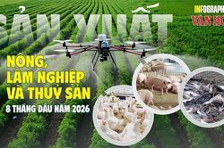 6,95 triệu tấn thủy sản sau 8 tháng, nông nghiệp phân hóa