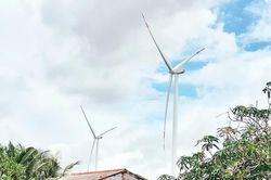 Vĩnh Long: Cuộc sống đảo lộn vì tiếng ồn từ dự án điện gió