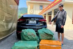 Quảng Ninh bắt vụ vận chuyển gần 300kg nầm lợn đông lạnh không rõ nguồn gốc