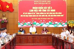 Tăng cường vai tr&ograve; l&atilde;nh đạo của Đảng trong hoạt động gi&aacute;m s&aacute;t