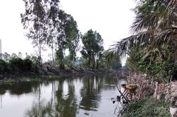 Cà Mau: Chủ động ứng phó hạn hán, xâm nhập mặn do ảnh hưởng El Nino