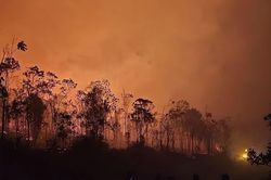 Khí thải cháy rừng Indonesia đạt gần 20 triệu tấn, cao nhất thế giới